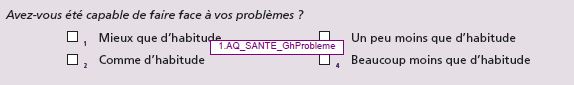 S- Question GhProbleme_Sante